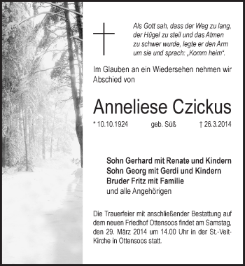 Traueranzeige von Anneliese Czickus von Pegnitz-Zeitung
